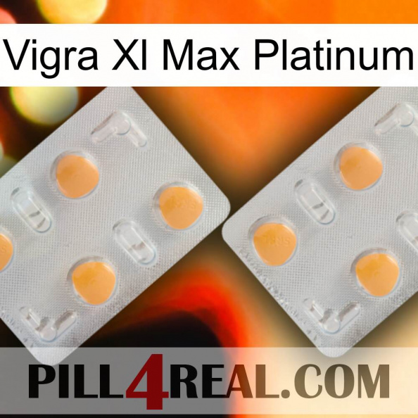 Vigra Xl Max Platinum 25.jpg